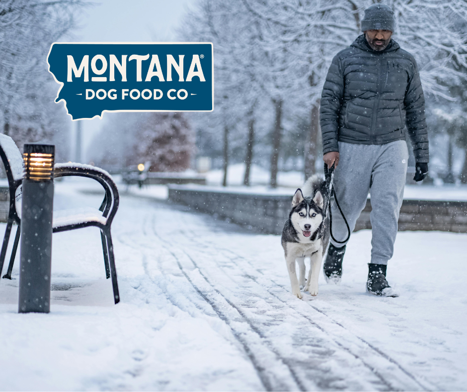 Winter Woes: 5 Cold Weather Hazards Every Dog Owner Should Avoid