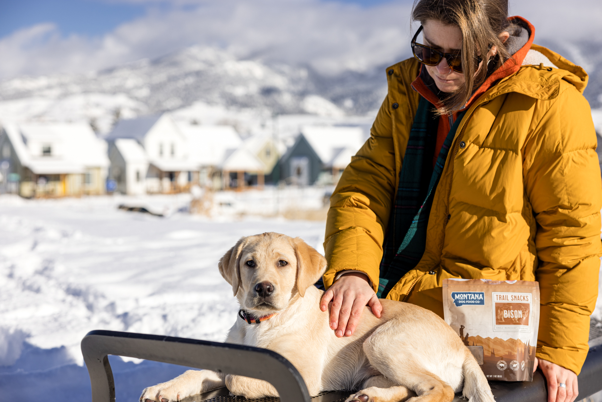 Healthier Nutrition for Your Dog in the New Year