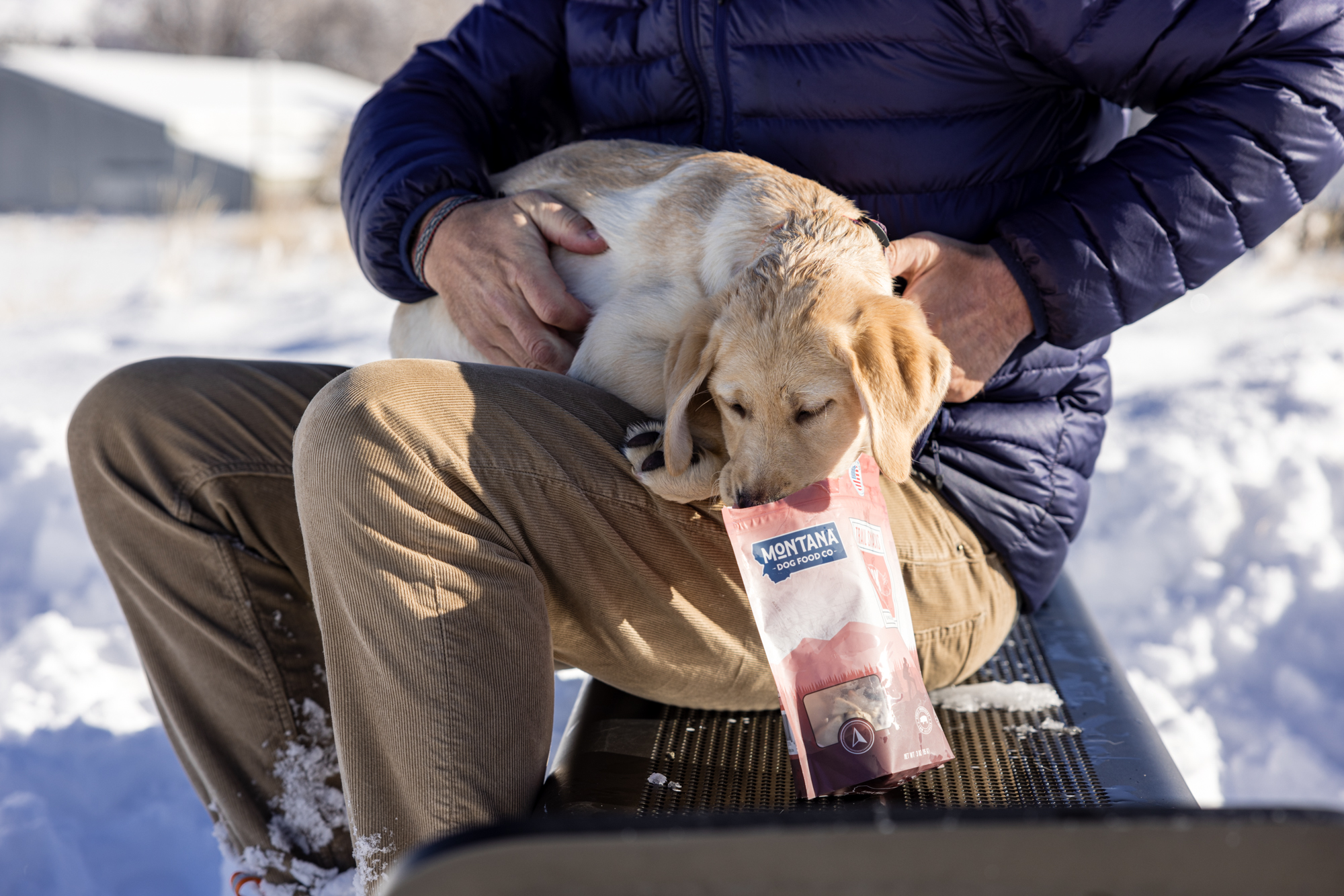 How to Keep Your Dog Healthy, Happy, and Active All Winter Long